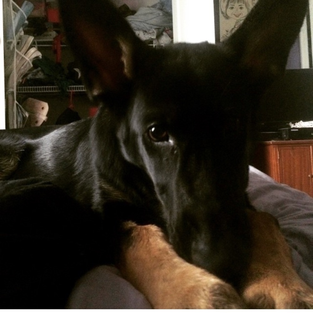 Meet your Posher, Marin